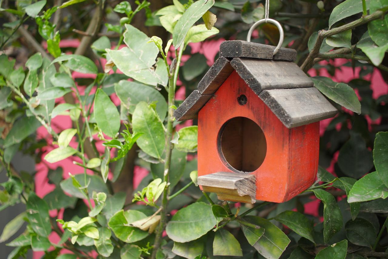 Colibri B&B Mexico by Eksteriør bilde